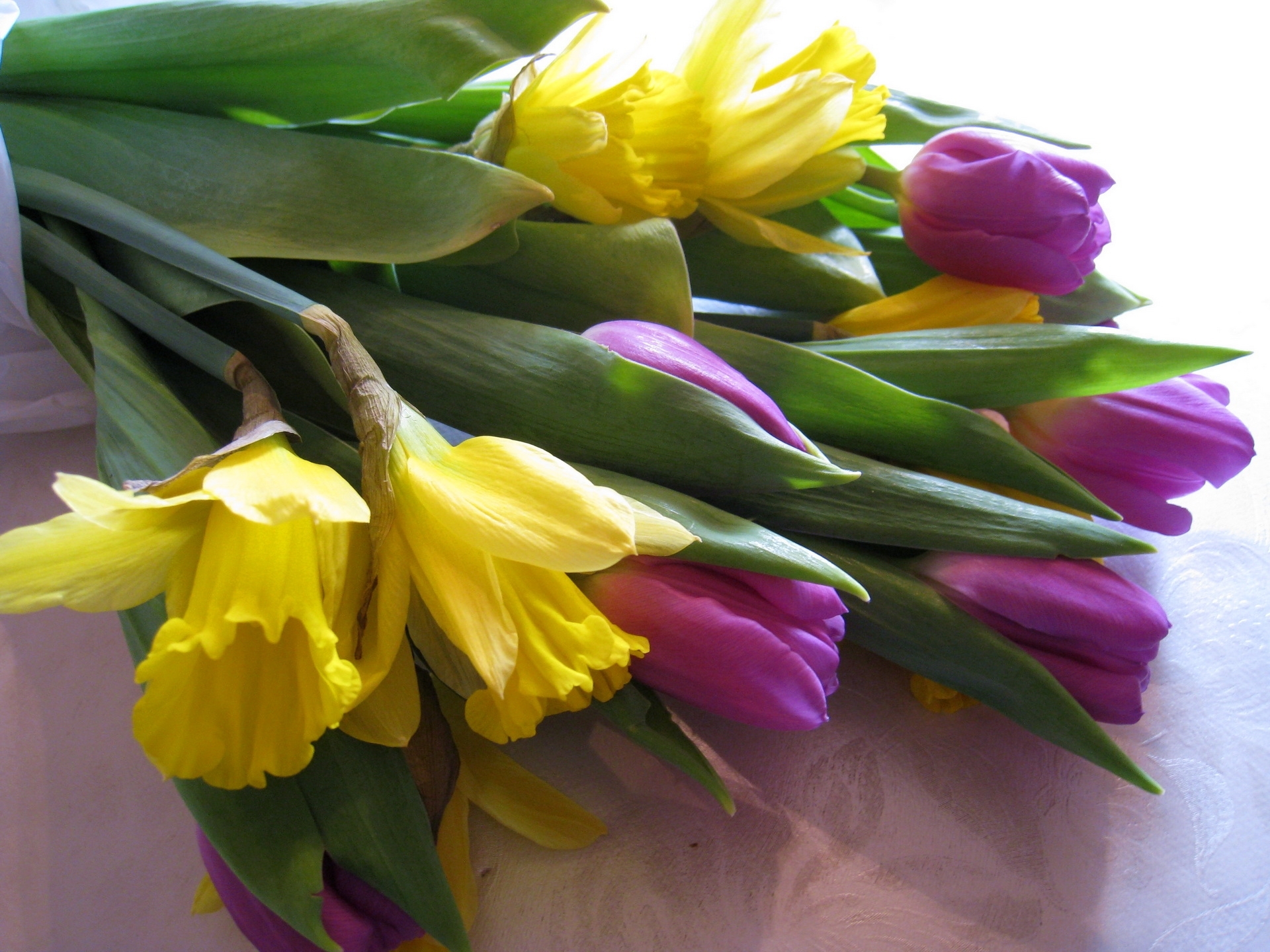 tulips_daffodils_flowers_bouquet_tablecloth_30128_1920x1440